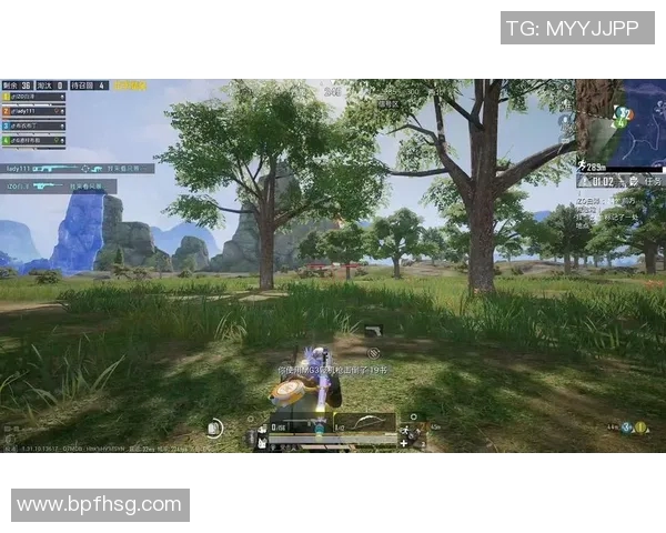 电竞实时数据专家吴静揭秘和平精英成功背后的策略与经验